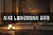 제주특별자치도 서귀포시 대포동 마사지, 지압등 업체정보