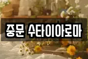 중문 수타이아로마