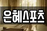 은혜스포츠