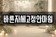 바른자세고정안마원