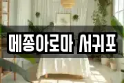 메종아로마 서귀포