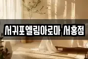 제주특별자치도 서귀포시 서홍동 마사지, 지압등 업체정보