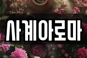 사계아로마