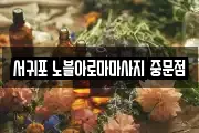 제주특별자치도 서귀포시 중문동 마사지, 지압등 업체정보