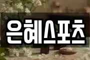 은혜스포츠