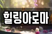 제주특별자치도 서귀포시 토평동 마사지, 지압등 업체정보
