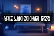 제주특별자치도 서귀포시 하원동 마사지, 지압등 업체정보