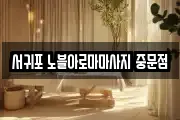 제주특별자치도 서귀포시 회수동 마사지, 지압등 업체정보