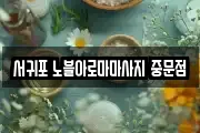 서귀포 노블아로마마사지 중문점