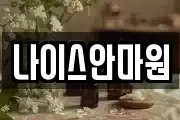 나이스안마원