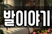 발이야기