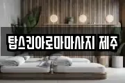 탑스킨아로마마사지 제주