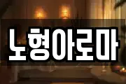 노형아로마