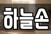 하늘손