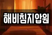 해비침지압원