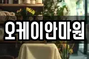 오케이안마원