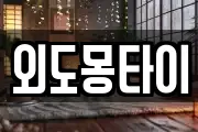 외도몽타이
