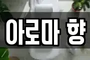 아로마 향