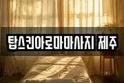 탑스킨아로마마사지 제주