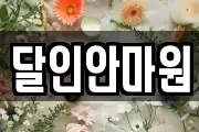 달인안마원