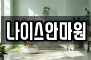 나이스안마원