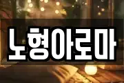 노형아로마