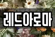 레드아로마