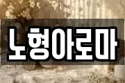 노형아로마