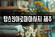 탑스킨아로마마사지 제주