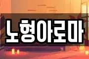 노형아로마