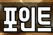 포인트