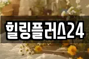 힐링플러스24