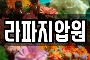 라파지압원