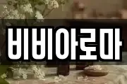 비비아로마