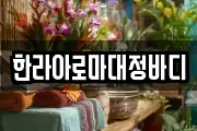 한라아로마대정바디