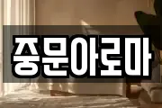 중문아로마