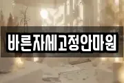 바른자세고정안마원