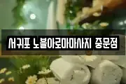 서귀포 노블아로마마사지 중문점