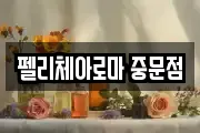 펠리체아로마 중문점