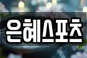 은혜스포츠