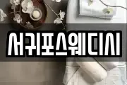 서귀포스웨디시