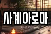 사계아로마