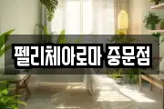 펠리체아로마 중문점