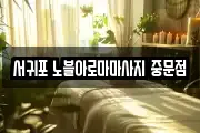 제주 서귀포시 중문동 마사지, 지압등 업체정보