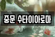 중문 수타이아로마