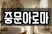 중문아로마