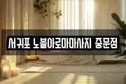 제주 서귀포시 회수동 마사지, 지압등 업체정보
