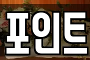 포인트