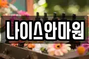 나이스안마원