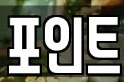 포인트
